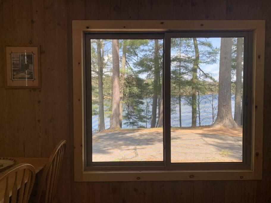 Black Bear Lodge-Bear Trap #3 Saint Germain Экстерьер фото